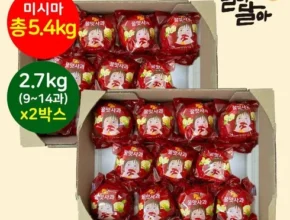 나만 보고 싶은 의성진 세척사과 2.7kg2박스 추천상품