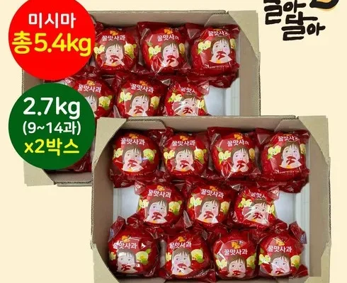 나만 보고 싶은 의성진 세척사과 2.7kg2박스 추천상품