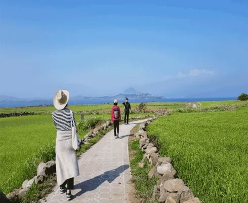 방송인기상품 제주여행 3박 4일 리뷰 추천