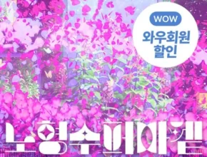 백화점에서 난리난 제주올패스 추천 순위 Top8