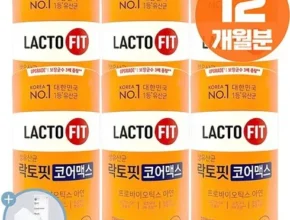 엄마들 사이에서 난리난 종근당건강 락토핏 코어맥스 6통 12개월 리뷰 추천