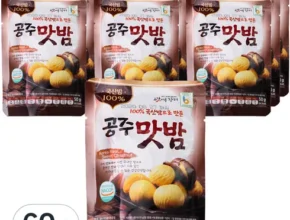 놓치면 후회할 농가애 국산밤으로 만든 공주맛밤 50g  30봉 추천 베스트8