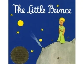 정말 놓치기 아까운 thelittleprince 리뷰 추천